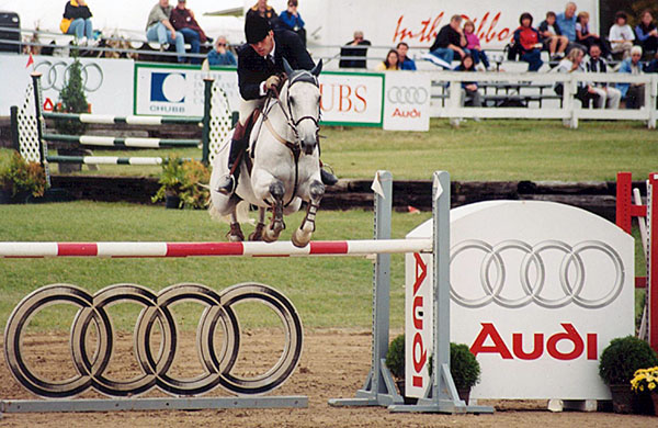 Chris Delia Stables Hunter Jumper Sales Training Equitation Horses for Sale Grand Prix Showjumping Toronto Ontario
