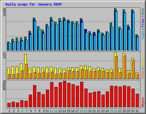 Daily usage for January 2020