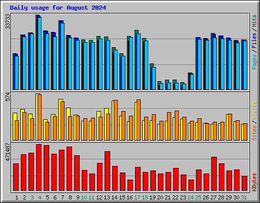 Daily usage for August 2024