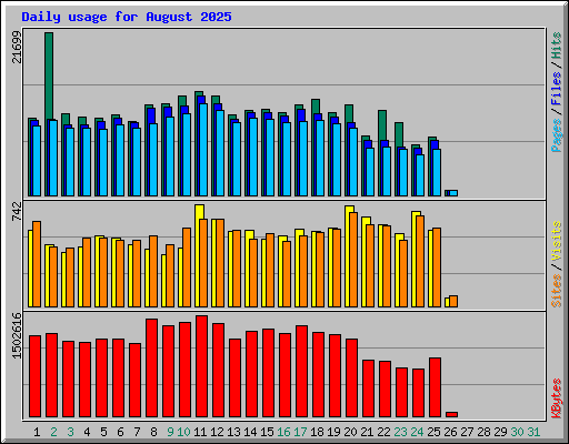 Daily usage for August 2025