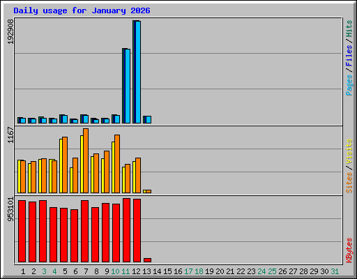 Daily usage for January 2026