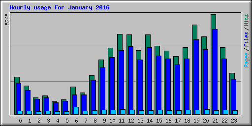 Hourly usage for January 2016