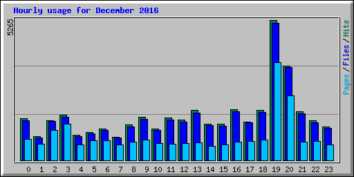 Hourly usage for December 2016