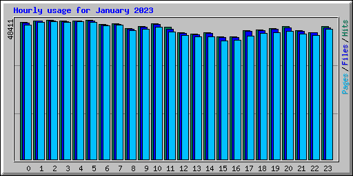 Hourly usage for January 2023