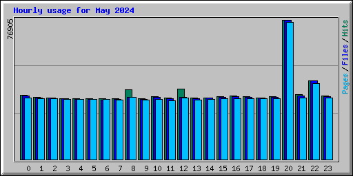 Hourly usage for May 2024