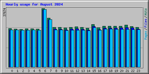 Hourly usage for August 2024