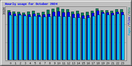 Hourly usage for October 2024