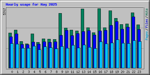 Hourly usage for May 2025