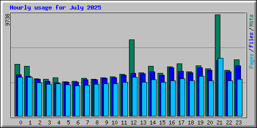 Hourly usage for July 2025