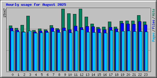 Hourly usage for August 2025