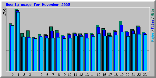 Hourly usage for November 2025
