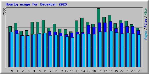 Hourly usage for December 2025