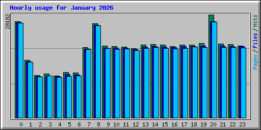Hourly usage for January 2026