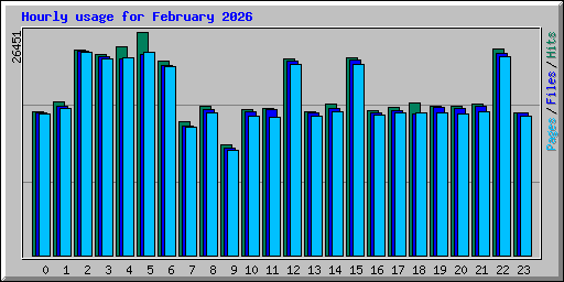 Hourly usage for February 2026