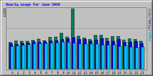 Hourly usage for June 2026