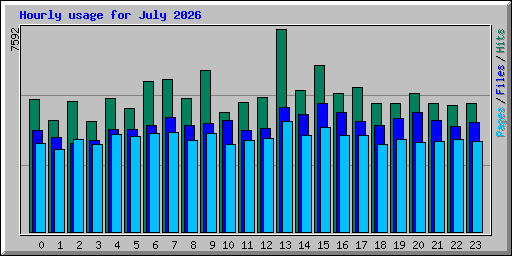 Hourly usage for July 2026