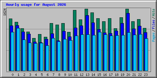 Hourly usage for August 2026